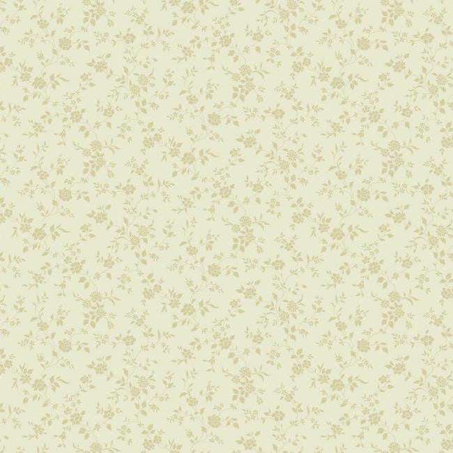 York Wallpaper PN0538 One Color Trail