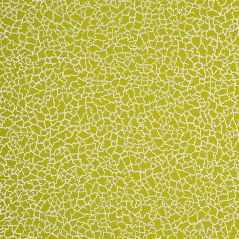 Baker Lifestyle Wallpaper PW78017.8 Ming Lime/Silver