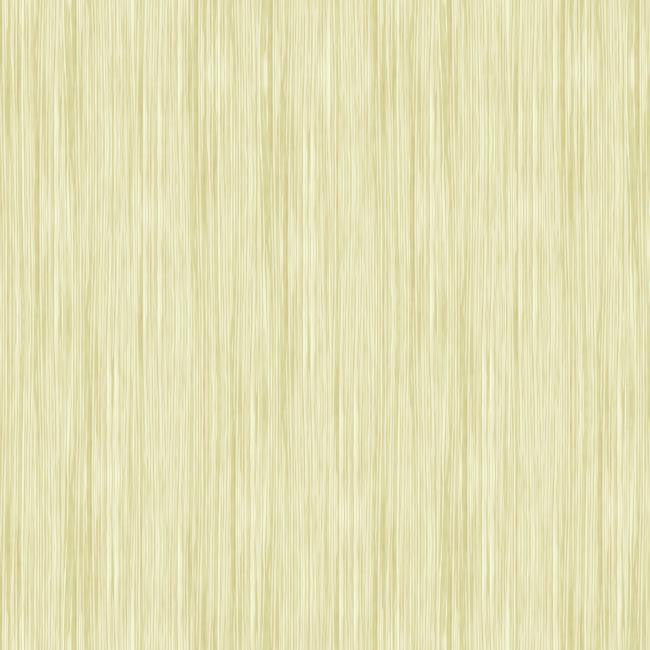 York PX8957 Color Expressions Wood Texture Wallpaper