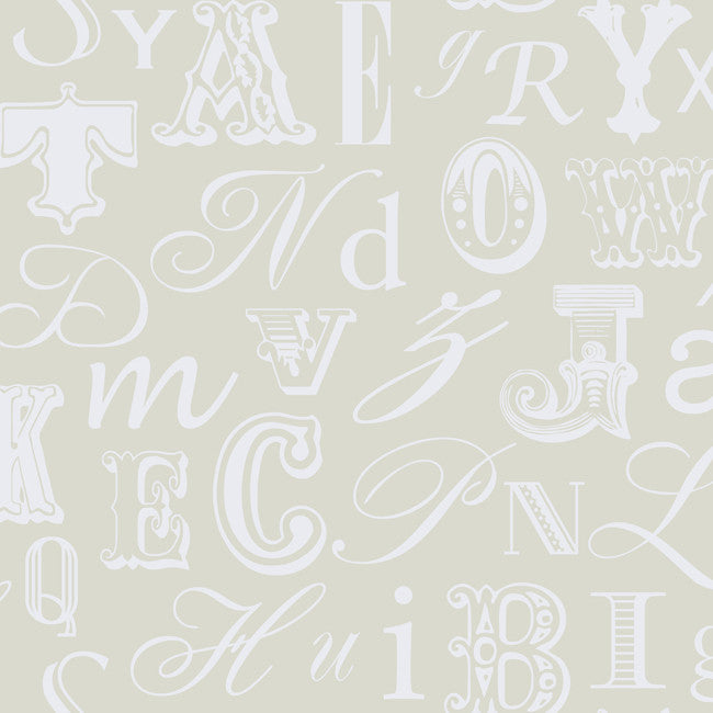 York RB4278 Peek-A-Boo Word Play Wallpaper