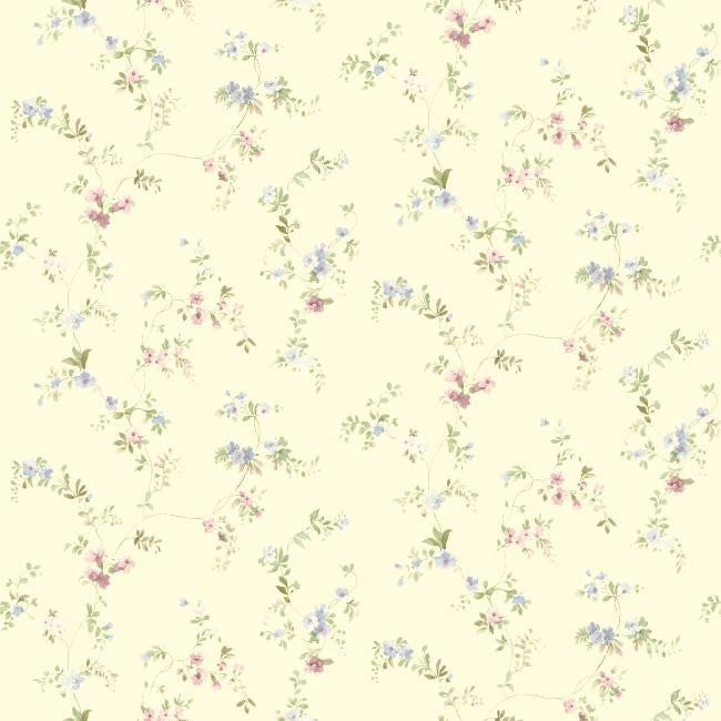 York SM8581 Blue Book Document Vine Wallpaper