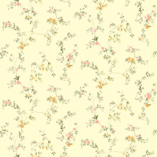 York SM8584 Orange & Yellow Book Document Vine Wallpaper