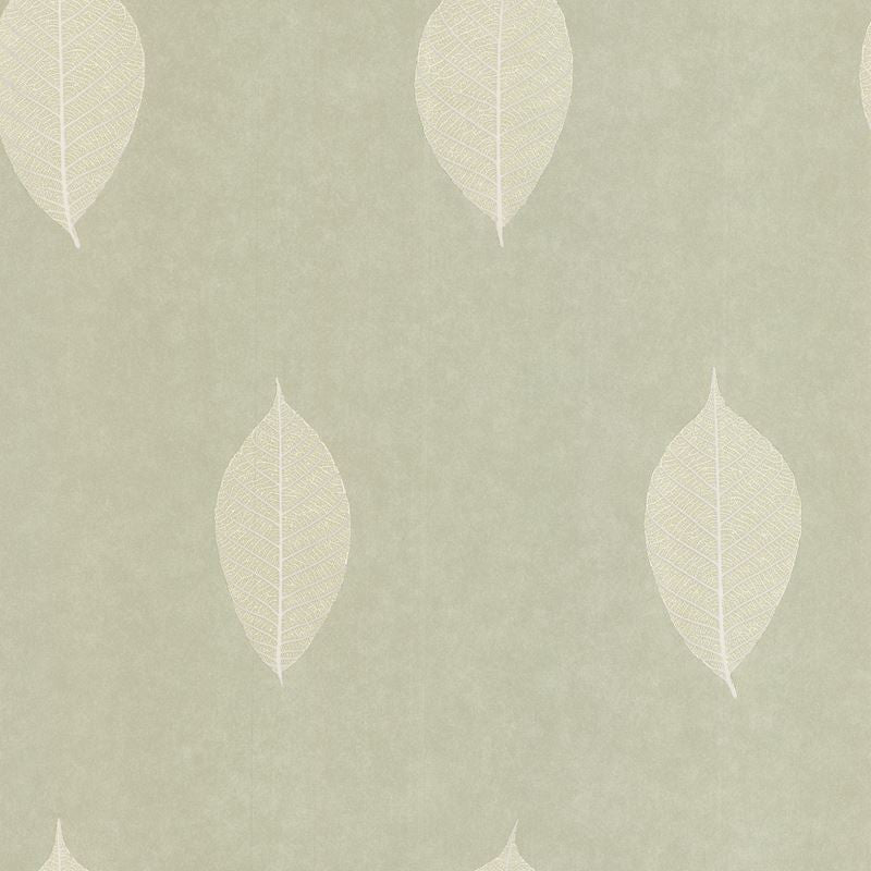 Kravet Design Wallpaper W3129.23