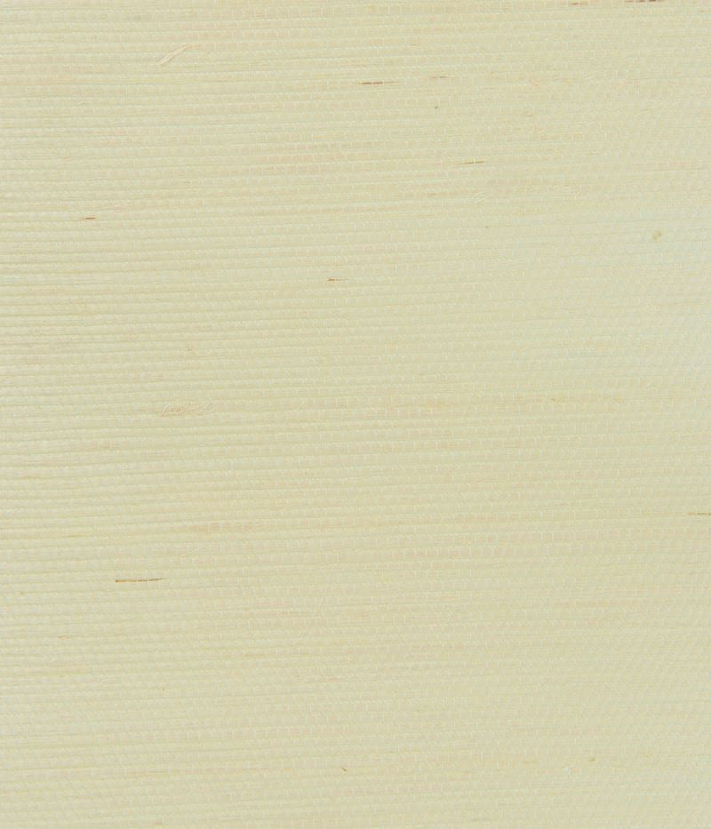 Kravet Design Wallpaper W3206.1