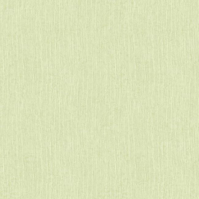 York WB5411 Botanical Fantasy Striking Strie Wallpaper