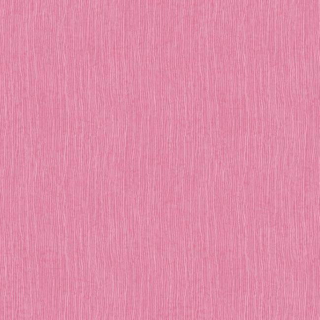 York WB5412 Botanical Fantasy Striking Strie Wallpaper
