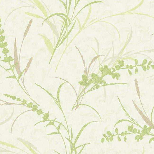 York WB5416 Botanical Fantasy Floral Branch Toss Wallpaper
