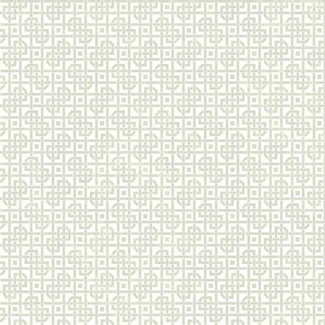 York WB5485 Botanical Fantasy Trellis Sidewall Wallpaper