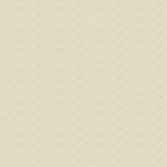 York Wallpaper WH2641 Vibe