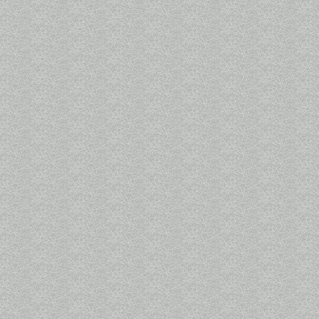 York Wallpaper WH2644 Vibe