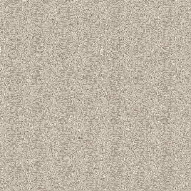 York Wallpaper WH2656 Primal
