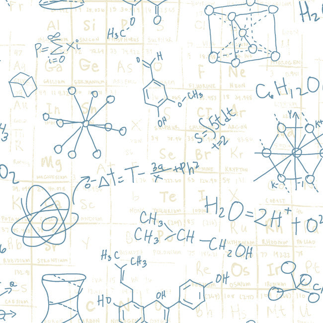 York ZB3246 Boys Will Be Boys Scientific Wallpaper