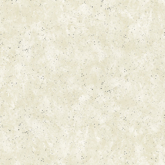York ZB3326 Boys Will Be Boys Plaster Texture Wallpaper