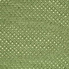 Robert Allen Fabric 013061 Fullerton Meadow
