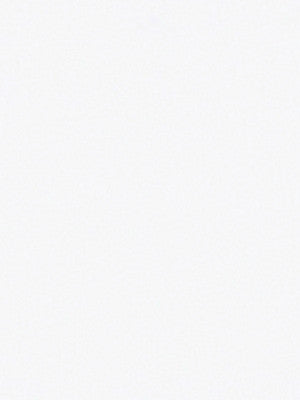 Robert Allen Fabric 020390 Thermalsuede 54 White