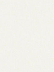 Robert Allen Fabric 020391 Thermalsuede 54 Parchment