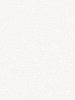 Robert Allen Fabric 020516 Royalwide White