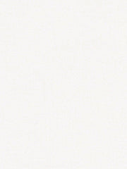 Robert Allen Fabric 020516 Royalwide White