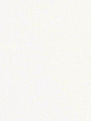 Robert Allen Fabric 020517 Royalwide Ivory