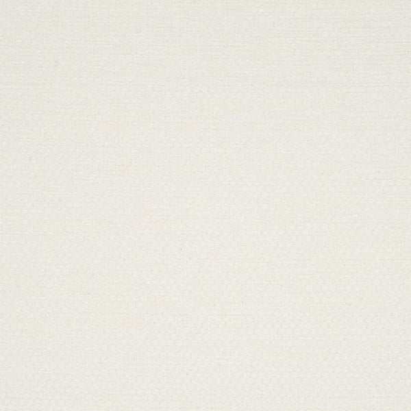 Robert Allen Fabric 024265 Comitato Tusk