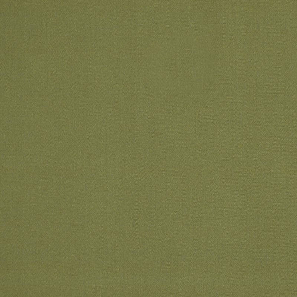 Robert Allen Fabric 025772 Lustre Sheen Meadow
