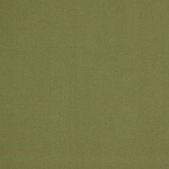 Robert Allen Fabric 025772 Lustre Sheen Meadow