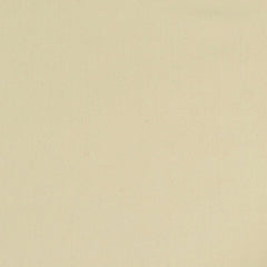 Robert Allen Fabric 025781 Lustre Sheen Pongee