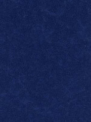 Robert Allen Fabric 028325 Crypton Suede Nordic