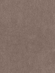 Robert Allen Fabric 028331 Crypton Suede Storm