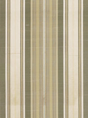 Beacon Hill Fabric 031629 Aspara Celadon