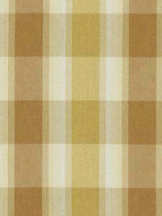 Robert Allen Fabric 036619 Burnett Butterscotch