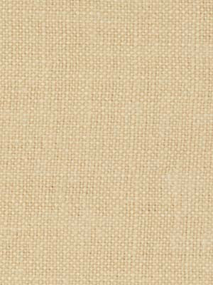 Robert Allen Fabric 039394 Paolo Honey