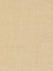 Robert Allen Fabric 039394 Paolo Honey