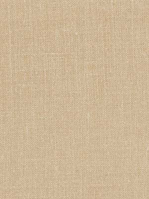 Robert Allen Fabric 039406 Paolo Cocoa