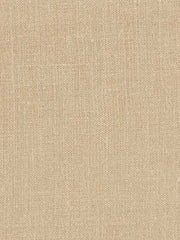 Robert Allen Fabric 039406 Paolo Cocoa