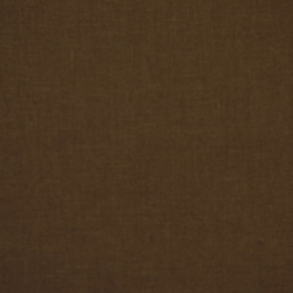 Robert Allen Fabric 039407 Paolo Earth