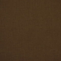 Robert Allen Fabric 039407 Paolo Earth