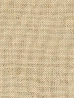 Robert Allen Fabric 040036 Quilted Paolo Sand