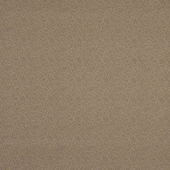 Robert Allen Fabric 040298 Sweetgrass Stone