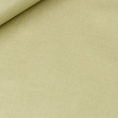 Robert Allen Fabric 041963 Ultima Parchment