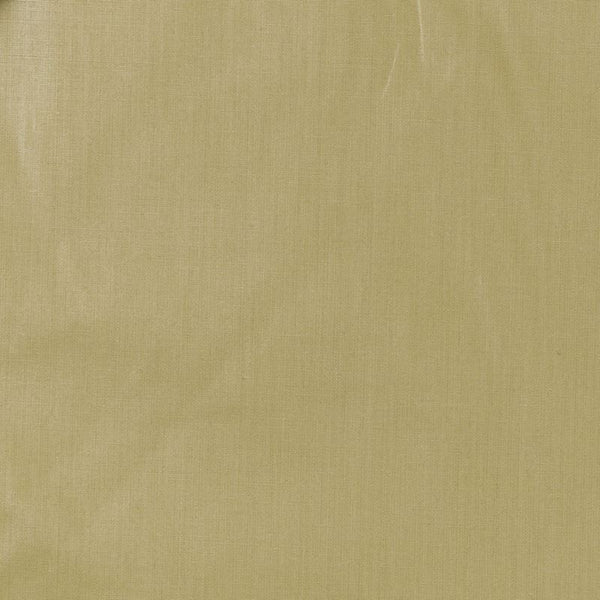 Robert Allen Fabric 041970 Ultima Pampas