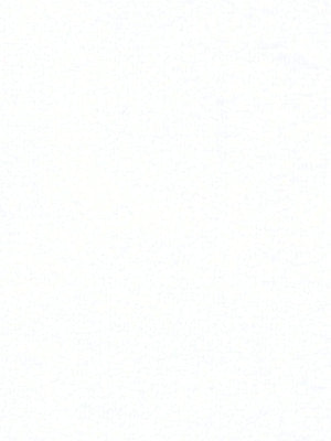 Robert Allen Fabric 043084 Interlining White
