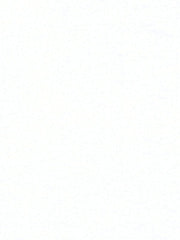 Robert Allen Fabric 043084 Interlining White