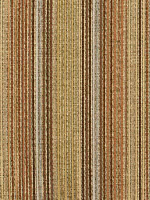 Robert Allen Fabric 043091 Pizazz Bronze