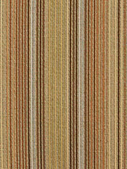 Robert Allen Fabric 043091 Pizazz Bronze