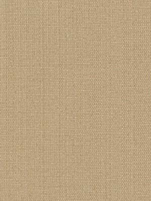Robert Allen Fabric 043385 Brightman Pearl