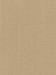 Robert Allen Fabric 043385 Brightman Pearl