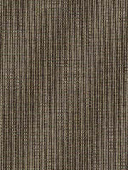 Robert Allen Fabric 043386 Brightman Aluminum