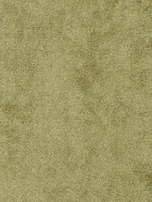 Robert Allen Fabric 045527 Sensuede Ivy