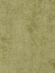 Robert Allen Fabric 045527 Sensuede Ivy
